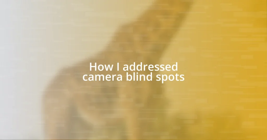 How I addressed camera blind spots