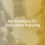 My Strategies for Evacuation Planning