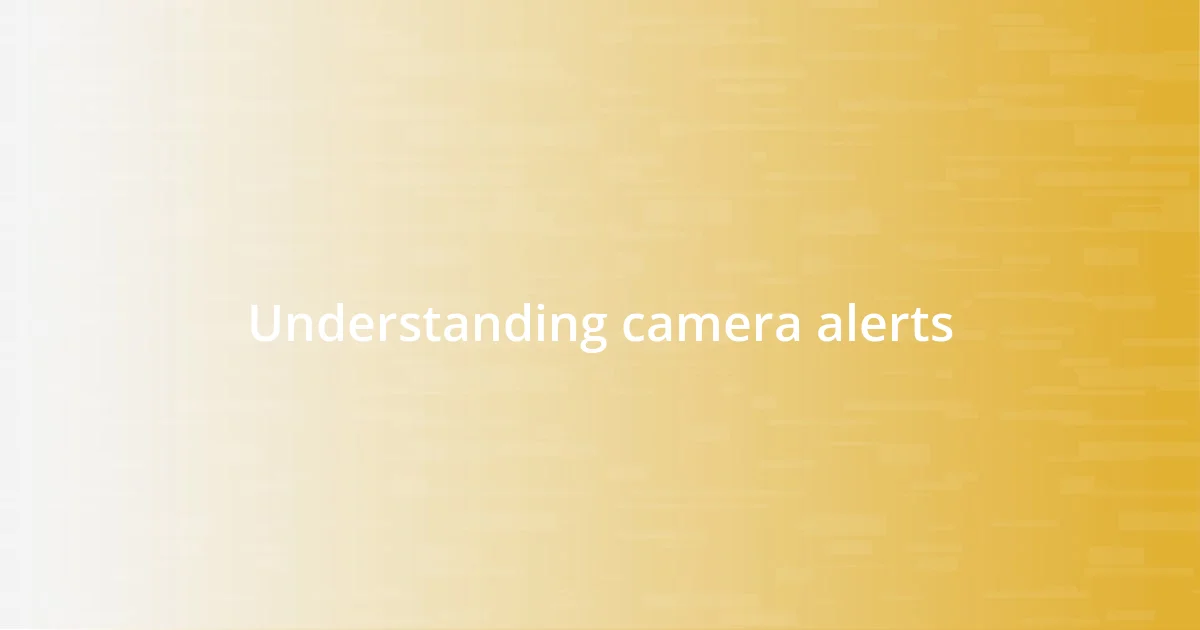 Understanding camera alerts