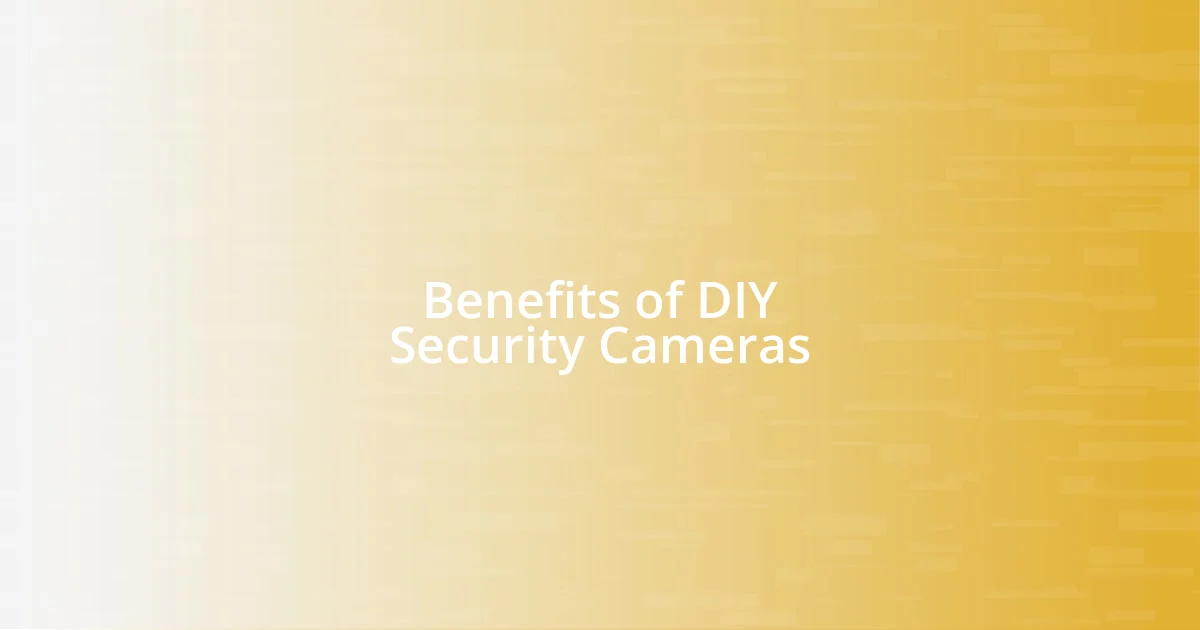 Benefits of DIY Security Cameras